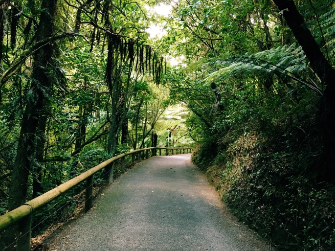 Processed with VSCOcam with c3 preset